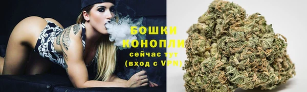 шишки Няндома
