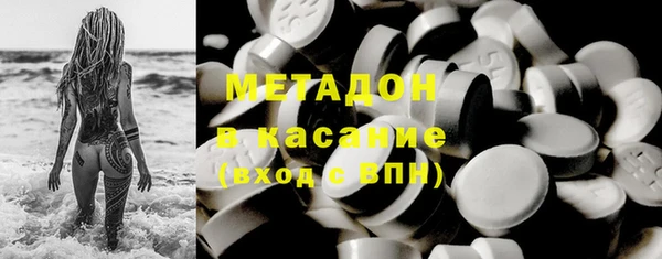 шишки Няндома