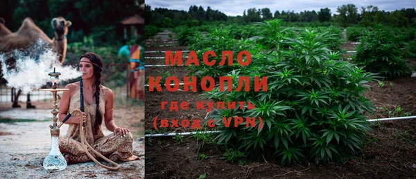 ГАЛЛЮЦИНОГЕННЫЕ ГРИБЫ Осинники