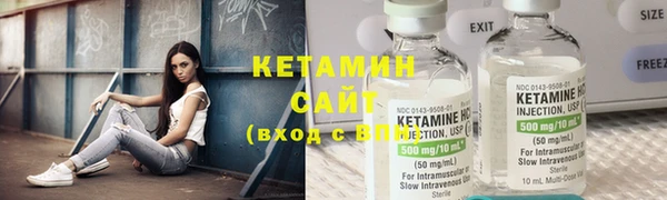 шишки Няндома