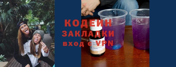 шишки Няндома