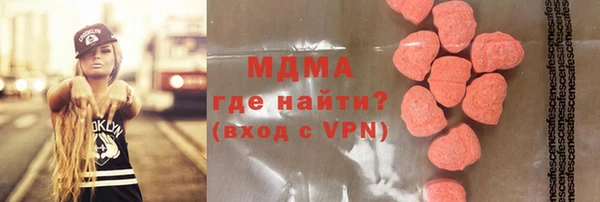 шишки Няндома