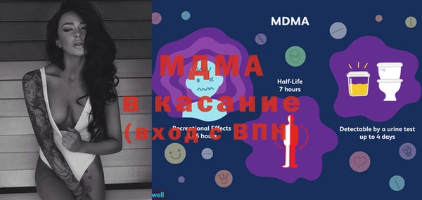 ГАЛЛЮЦИНОГЕННЫЕ ГРИБЫ Осинники