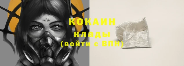 шишки Няндома
