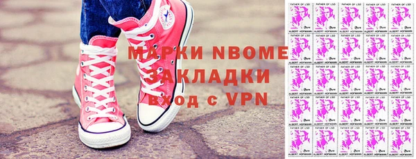 шишки Няндома