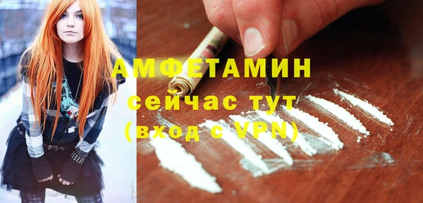 шишки Няндома