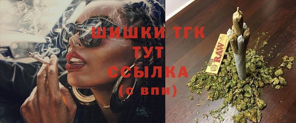 шишки Няндома