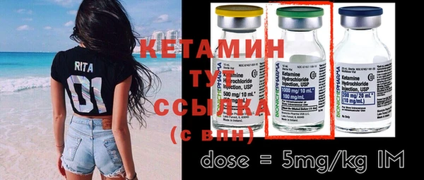 шишки Няндома