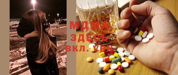 шишки Няндома
