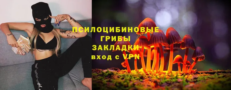 Галлюциногенные грибы Magic Shrooms  купить  цена  Комсомольск 